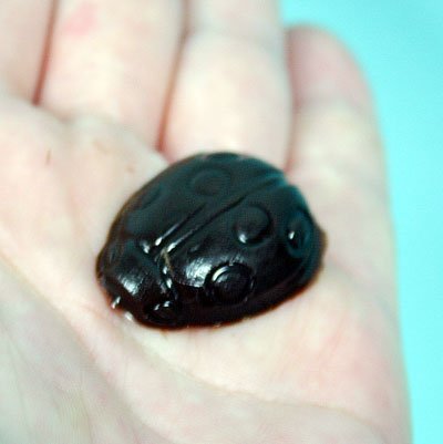 画像1: 〒 CK チョコレート型／てんとう虫