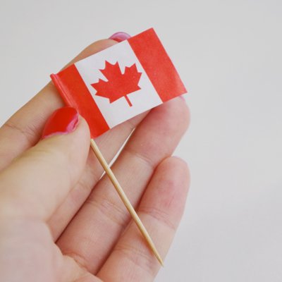 画像1: 〒 ケーキピック/カナダ国旗(6本入)木製