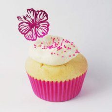 画像4: 〒 ケーキピック／ハイビスカス（4本）セット (4)