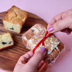 画像1: 〒 細くて赤いリボン（６巻セット） (1)