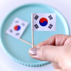 画像3: 〒 ケーキピック／韓国コリア国旗（6本入）木製 (3)