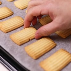 画像3: Ateco 口金（ステンレス）帯ライン＆ギザギザ No.898 (3)