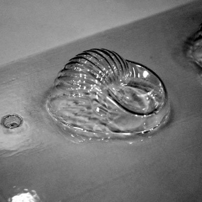 画像1: 〒 CK チョコレート型（立体3D）ふっくらした巻貝